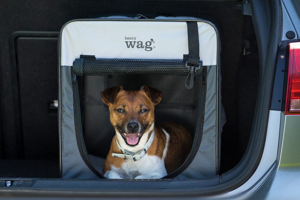 Folding Fabric Travel Crate – Lightweight Dog Crate for Home and Travel
