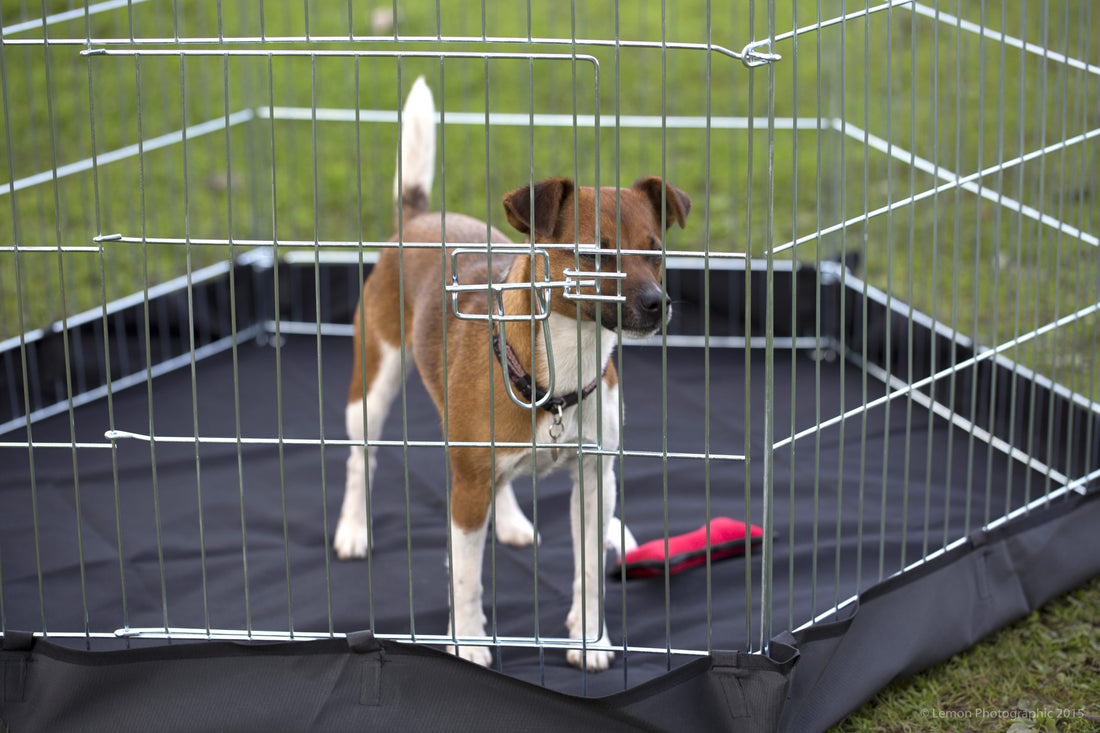 Six-Sided Pet Pen – Collapsible & Portable Indoor/Outdoor Pet Enclosure
