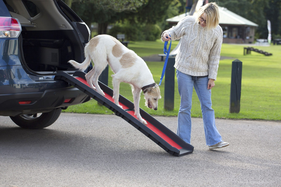 Lightweight Folding Car Dog Ramp – Dogs and Pets with Mobility Issues