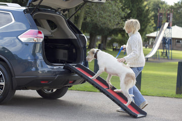 Lightweight Folding Car Dog Ramp – Dogs and Pets with Mobility Issues