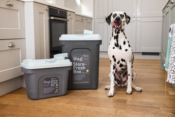 Store Fresh Pet Food Storage Box – Airtight & BPA-Free