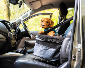 Pet Car Booster Seat - Comfortable and Secure Elevated Seat for Small Dogs