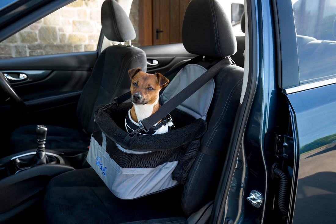 Pet Car Booster Seat - Comfortable and Secure Elevated Seat for Small Dogs