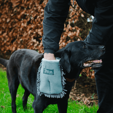 Microfibre Pet Drying Glove – Quick and Easy Clean-Up