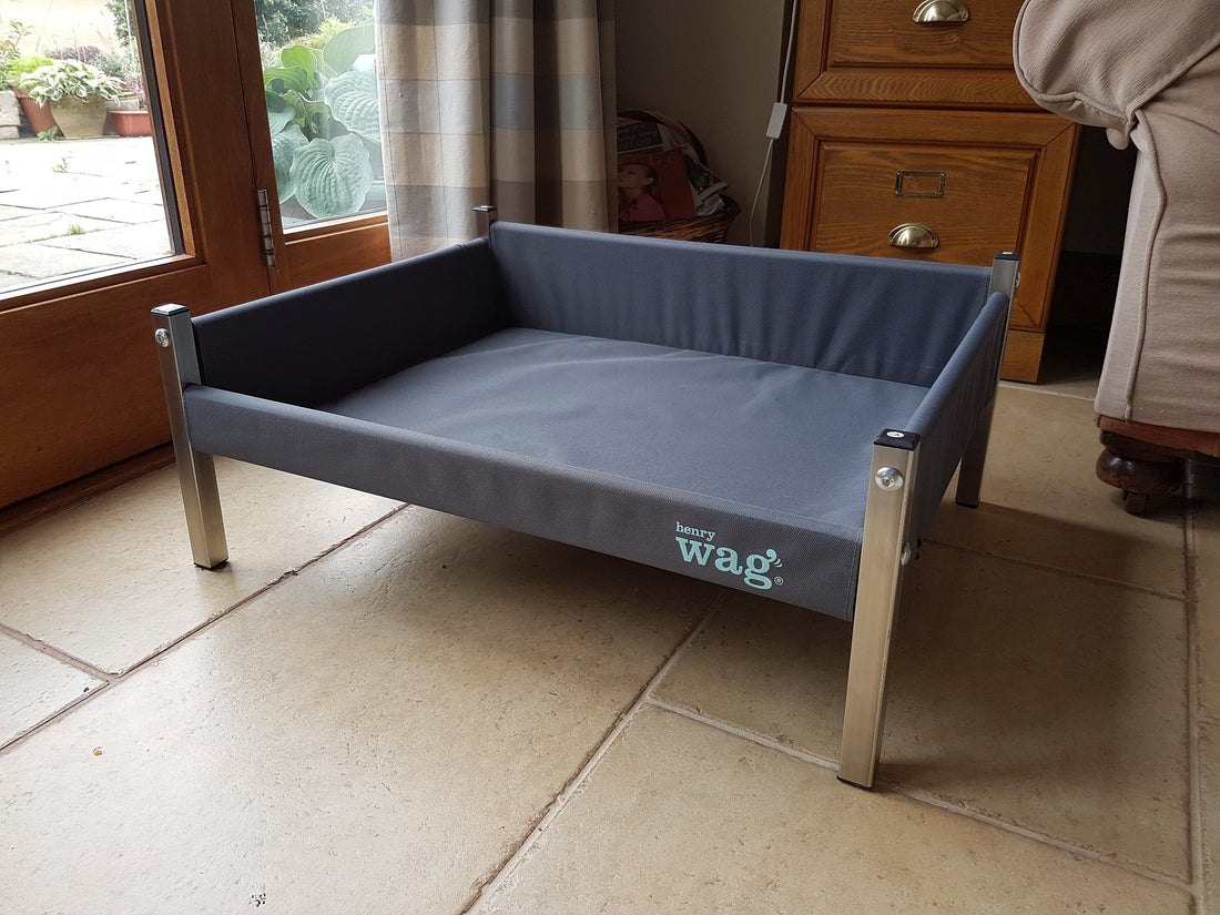 Elevated Dog Bed – Comfortable, Supportive, and Hygienic