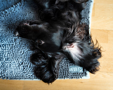 Noodle Pet Mat – Highly Absorbent Microfibre for Pets