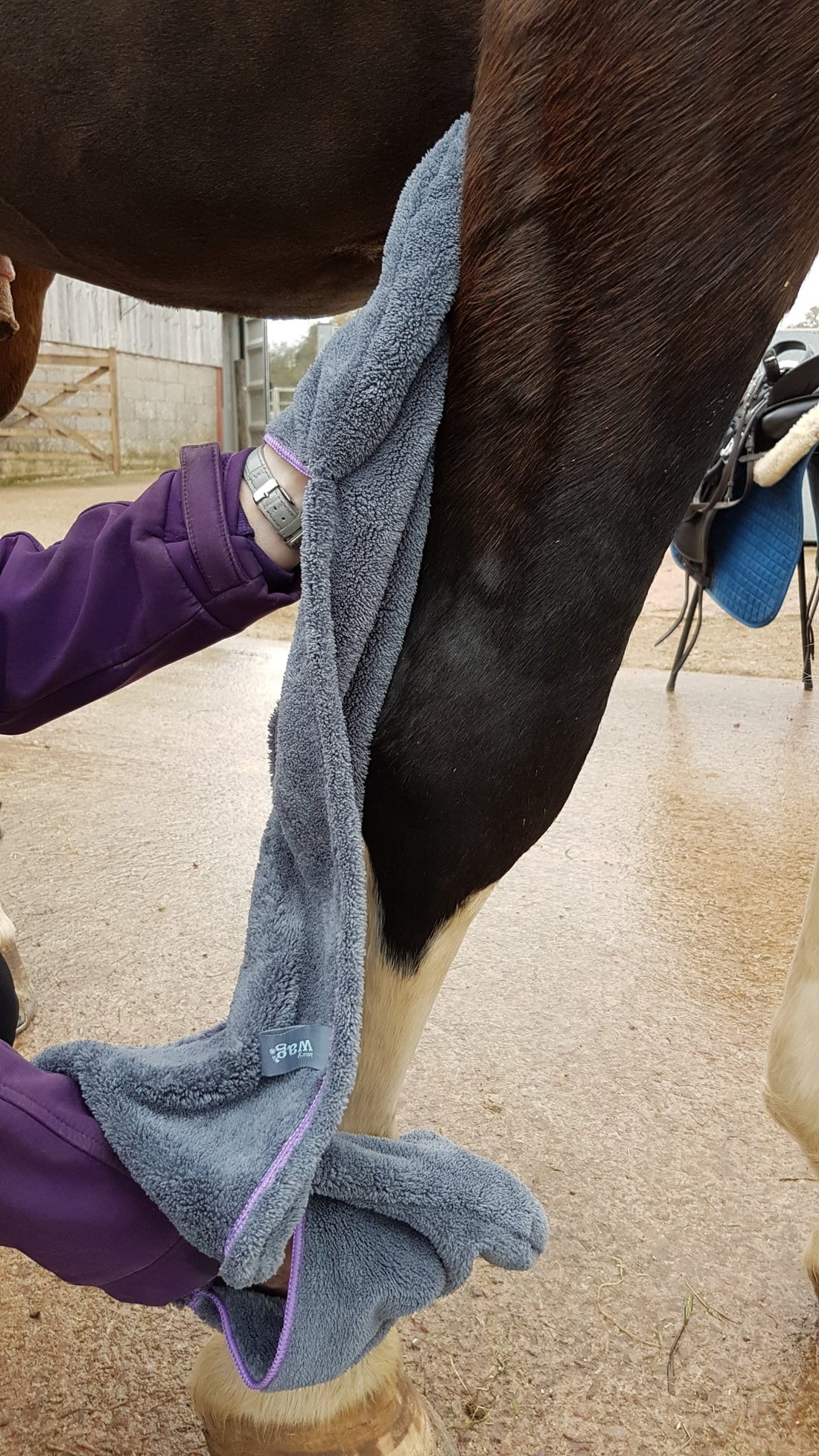 Equine Glove Towel – Highly Absorbent Microfibre for Grooming