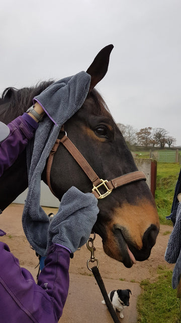 Equine Glove Towel – Highly Absorbent Microfibre for Grooming