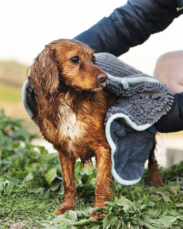 Noodle Glove Towel – Highly Absorbent Microfibre for Pets