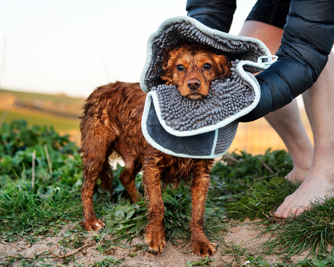Noodle Glove Towel – Highly Absorbent Microfibre for Pets