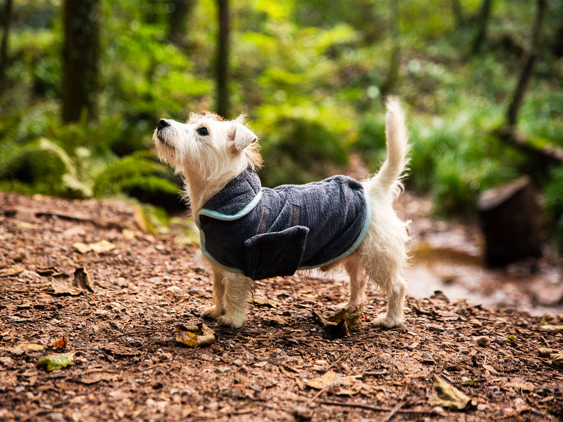 Microfibre Drying Coat – Grey | Eco-Friendly