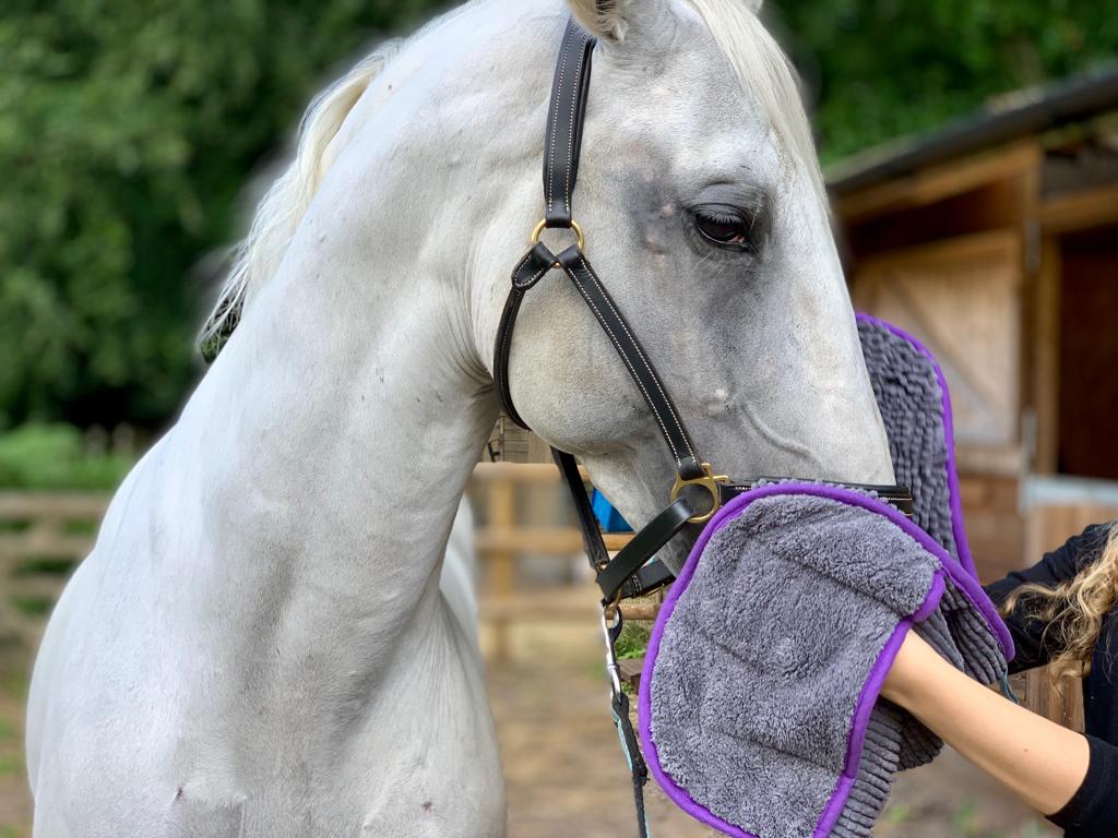 Equine Noodle Glove Towel – Soft & Absorbent Microfibre for Grooming