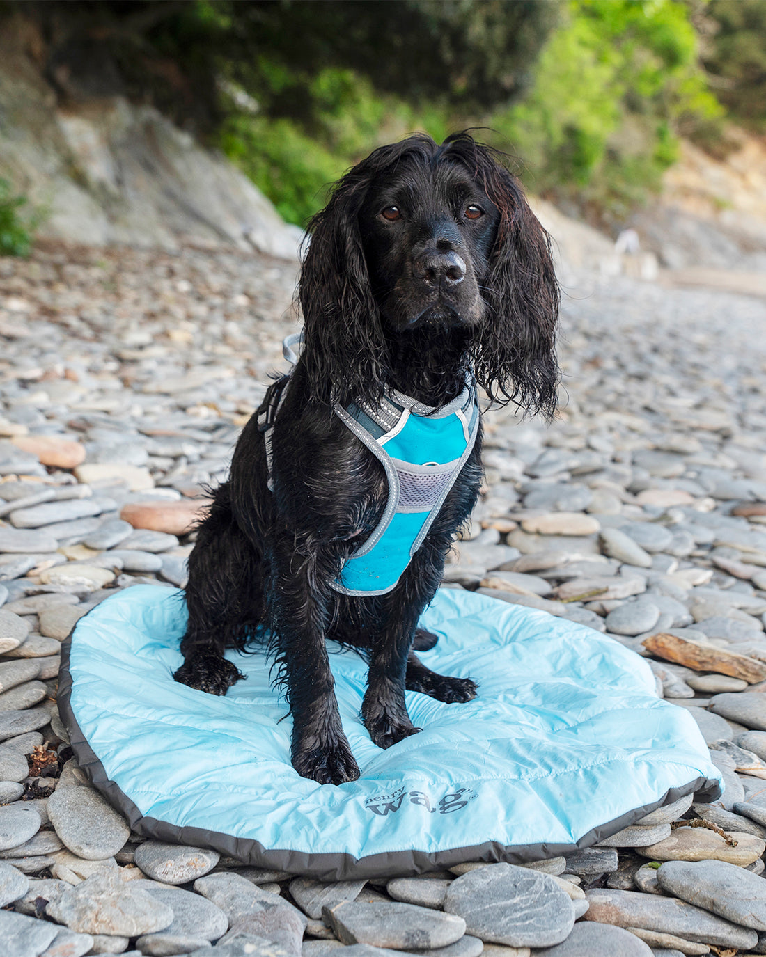 Alpine Travel Snuggle Bed