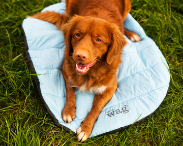 Alpine Travel Snuggle Bed