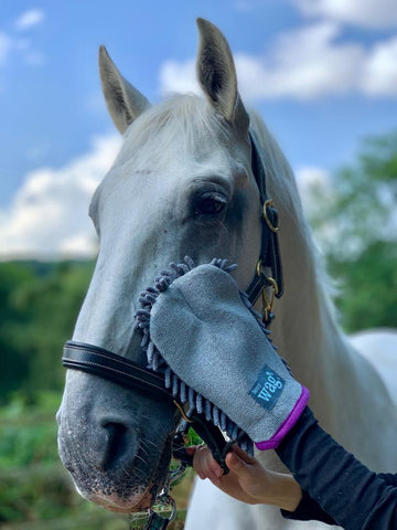 Equine Drying Glove – Soft & Highly Absorbent Microfibre