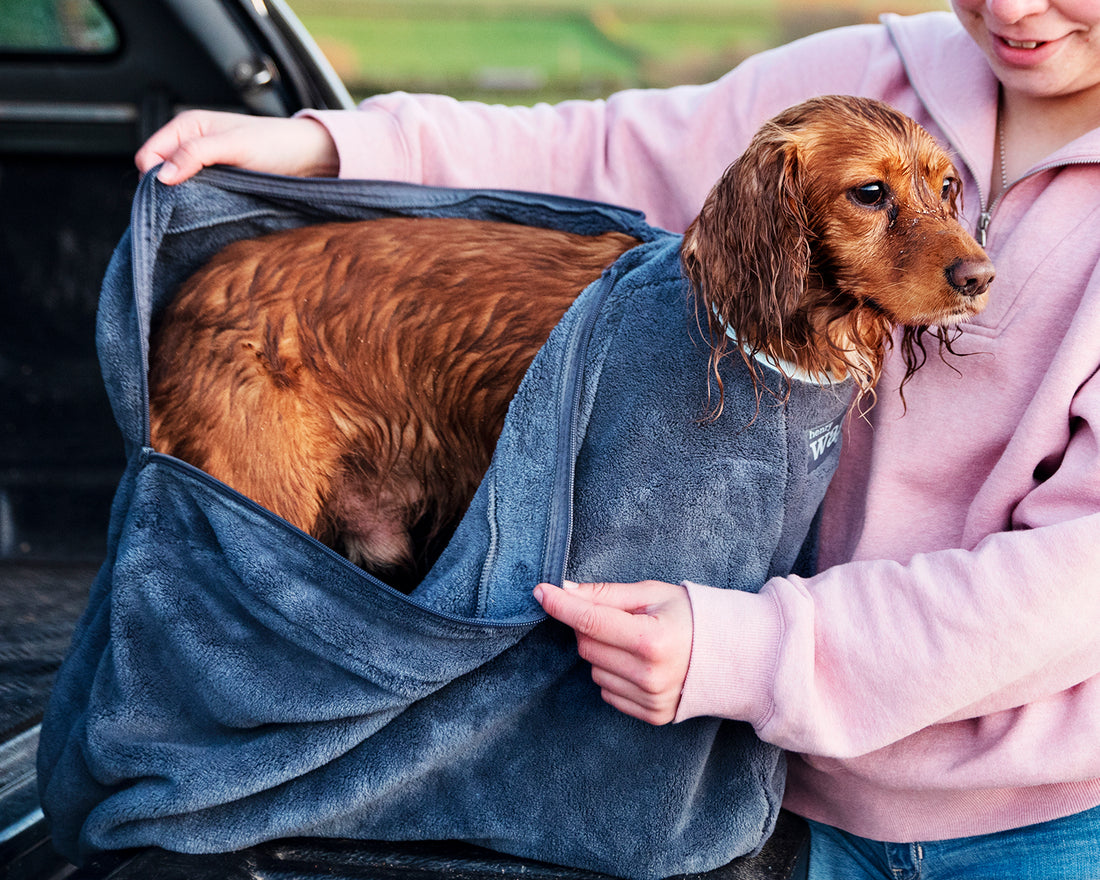 Microfibre Dog Drying Bag – Absorbent and Quick-Drying