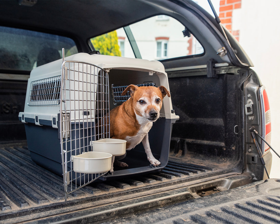 Henry Wag Air Travel Kennel