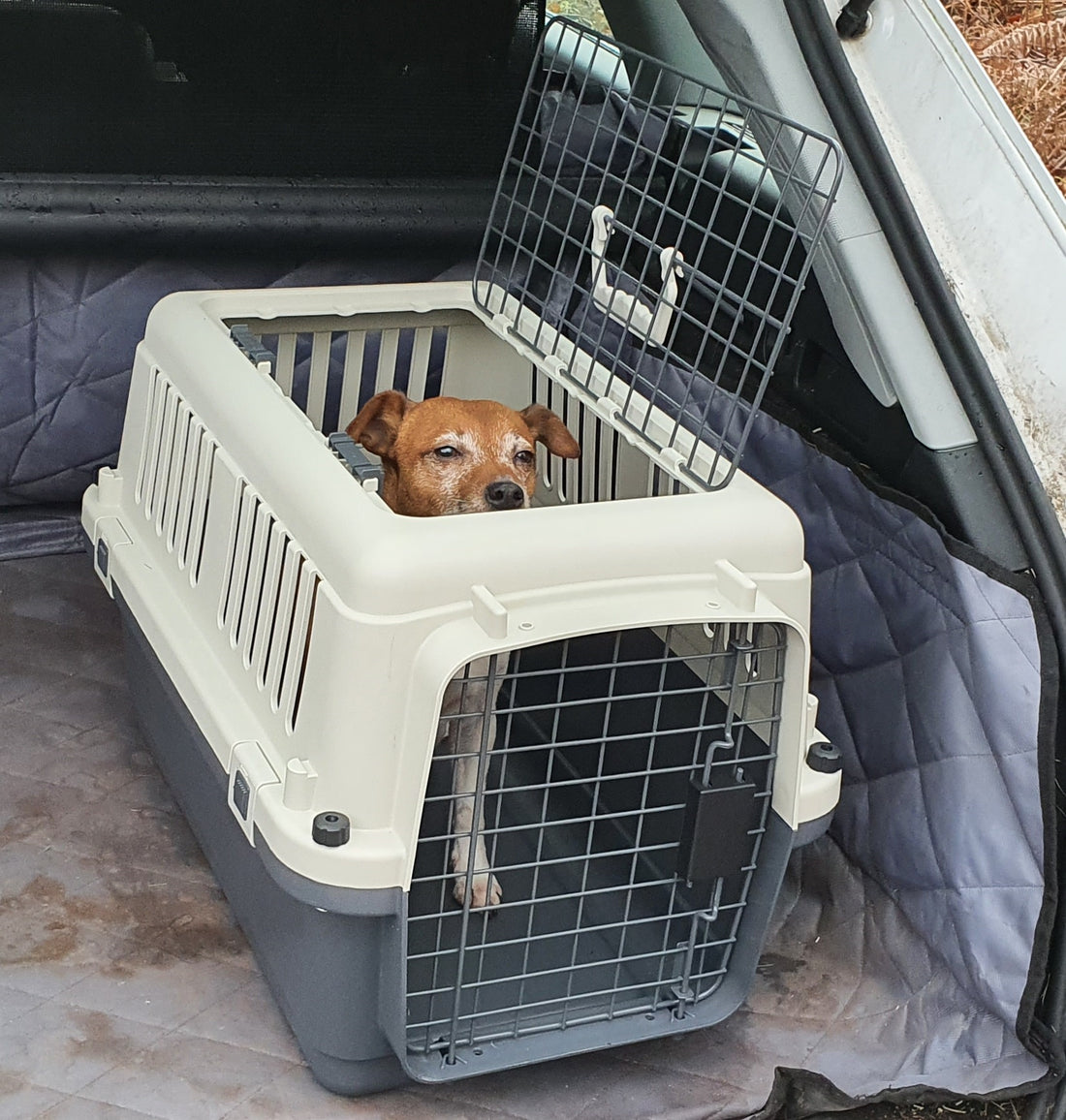 Open Top 2 Door Travel Kennel – Secure, Easy Access Travel Kennel for Small Pets