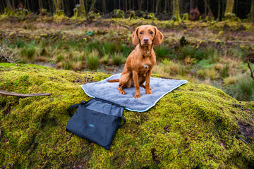 Easy-Roll Travel Pet Bed – Comfortable, Waterproof, and Compact for Outdoor Adventures