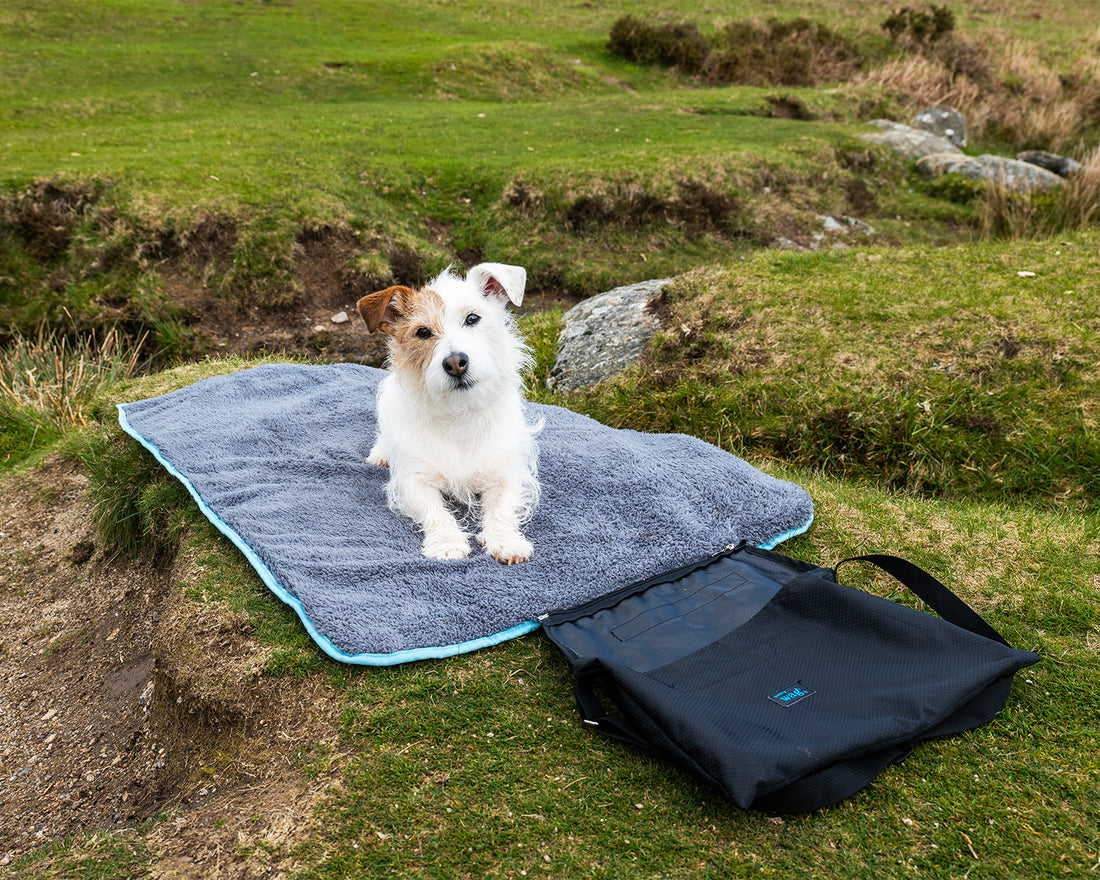 Easy-Roll Travel Pet Bed – Comfortable, Waterproof, and Compact for Outdoor Adventures