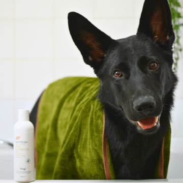 Refresh Dog Towel – Superior Absorbency with Bamboo & Recycled Polyester