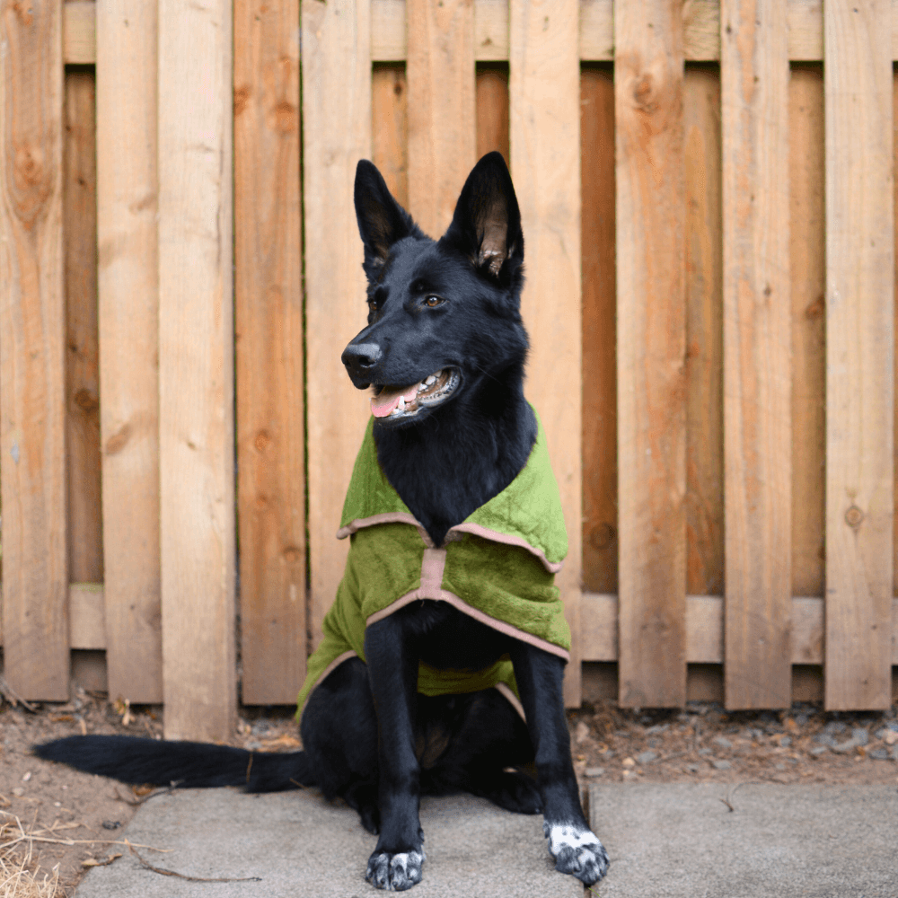 Refresh Drying Coat – Eco-Friendly & Highly Absorbent Dog Coat