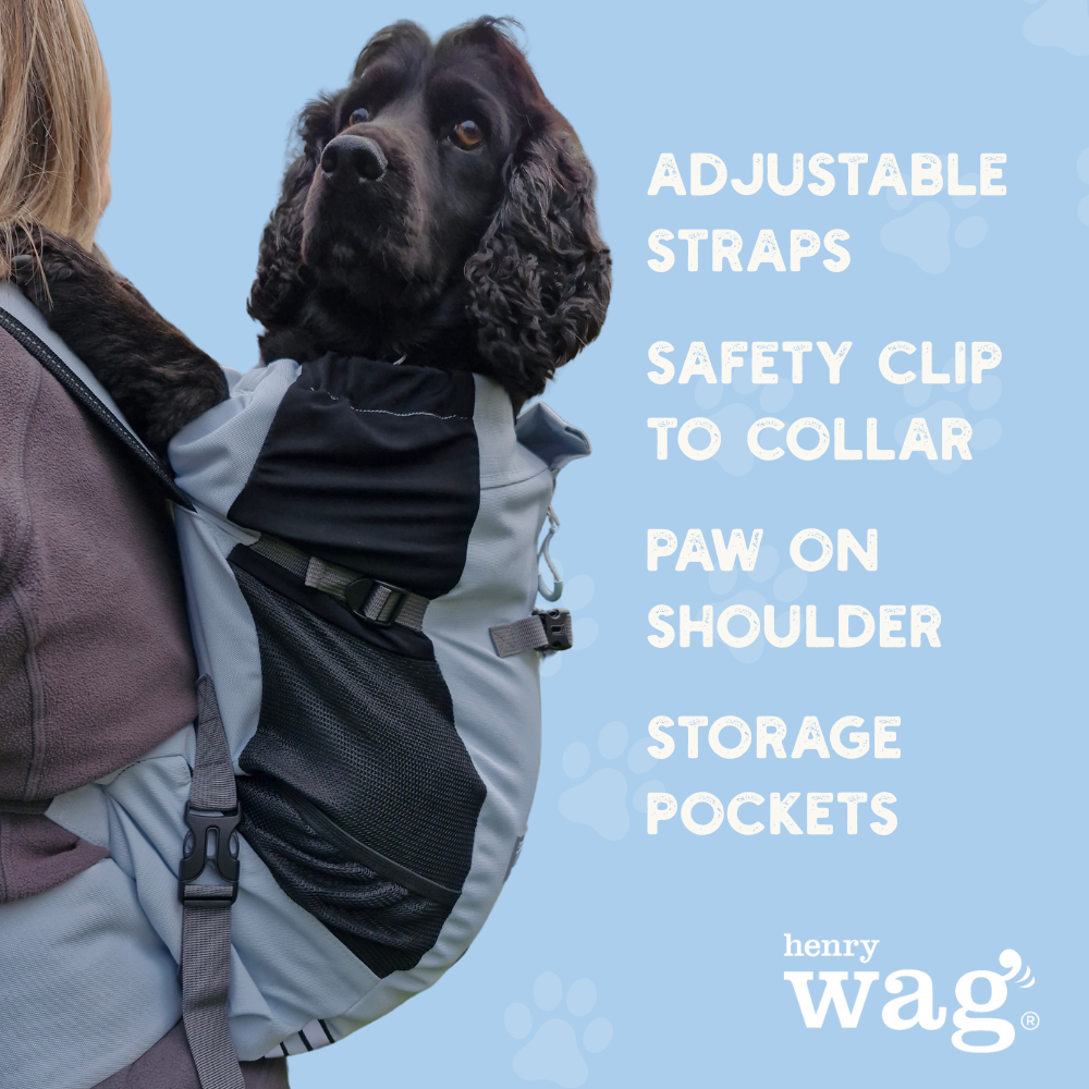 Dog Backpack – Forward Facing for Comfortable Walks, Hikes, and Travel