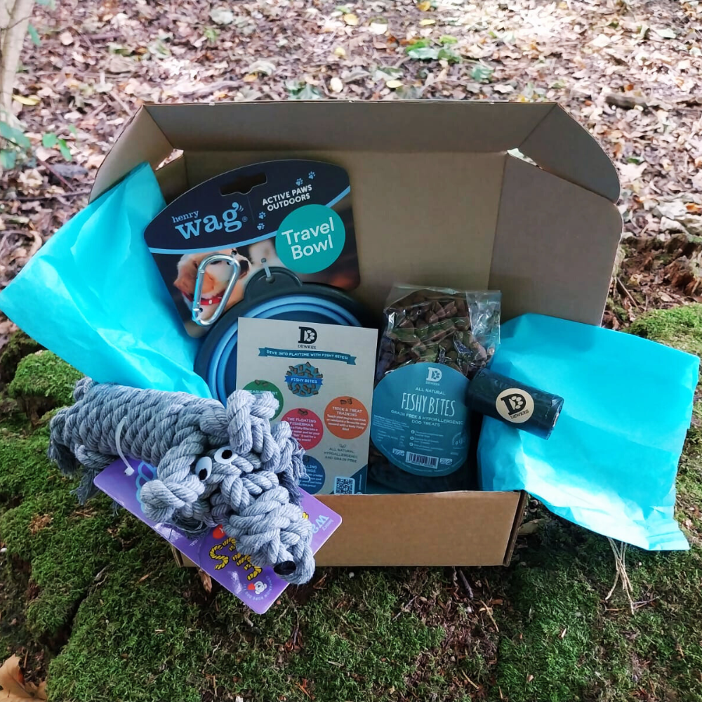 Dewkes & Henry Wag Adventure Treat Box – Outdoor Dog Essentials