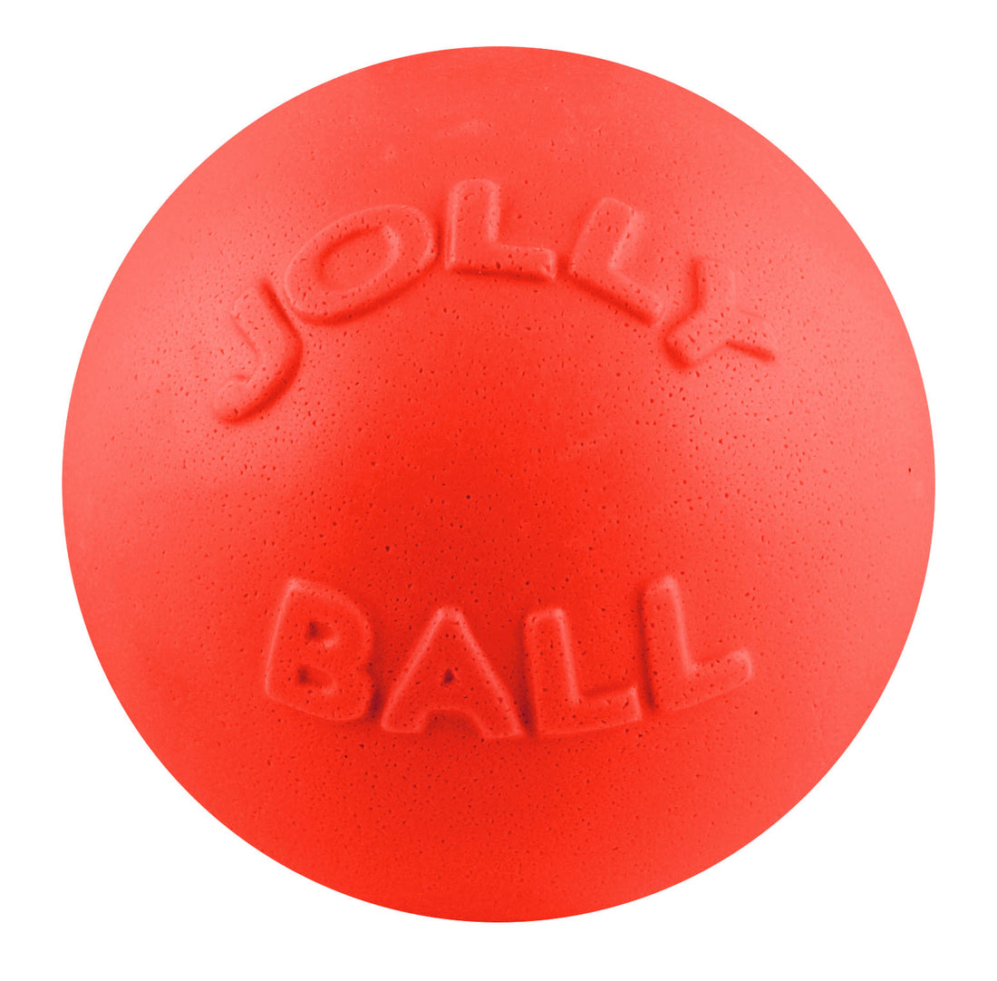 Bounce n Play Dog Ball – Durable, Bouncy & Scented