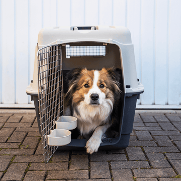 Henry Wag Air Travel Kennel