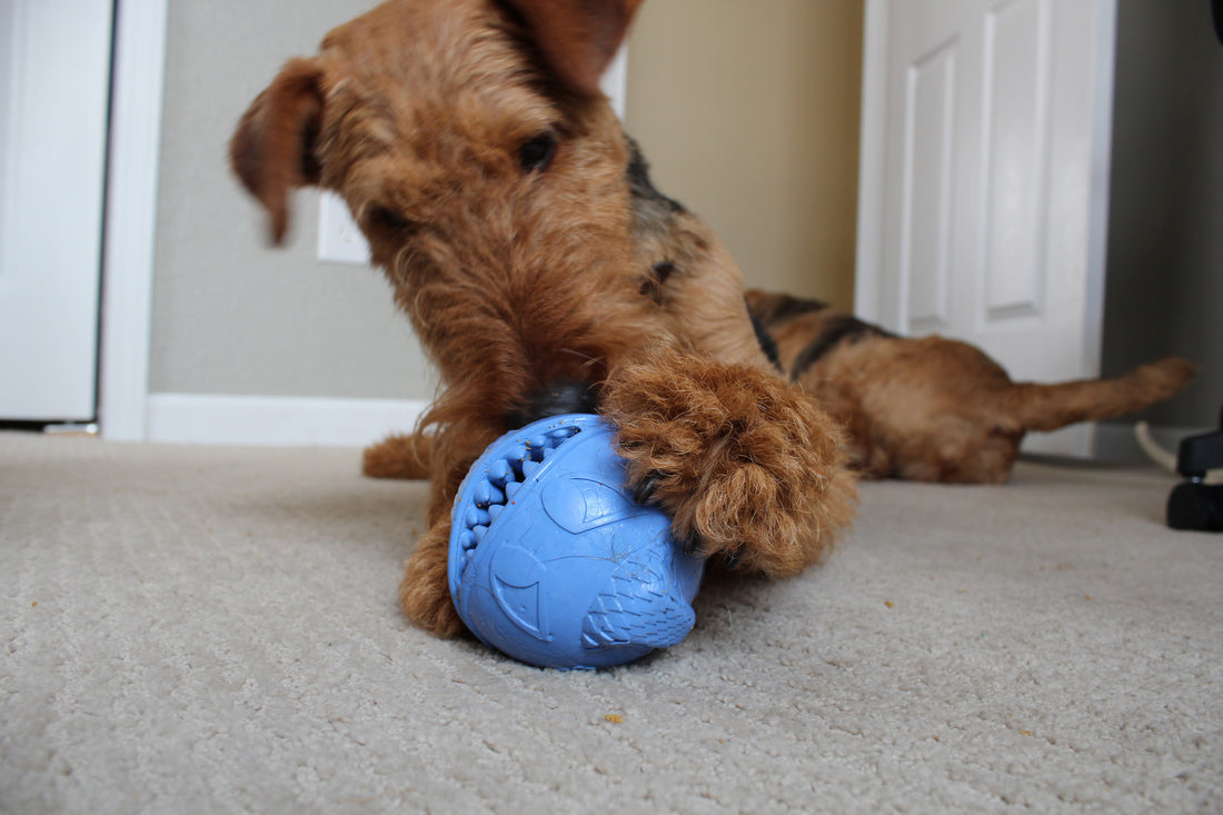 Monster Ball – Treat Dispenser & Play Ball for Dogs