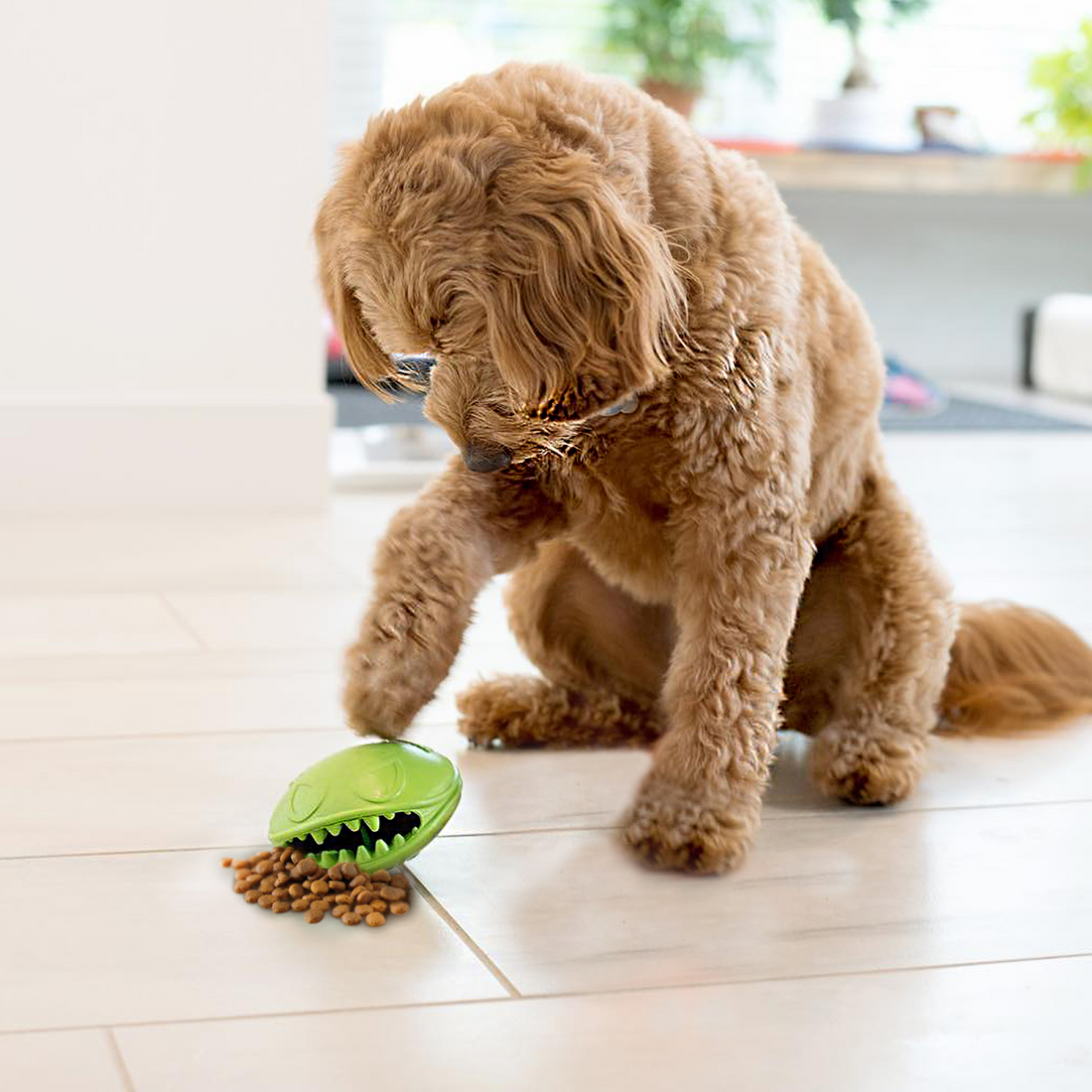 Monster Mouth – Treat Dispenser & Bouncy Dog Ball
