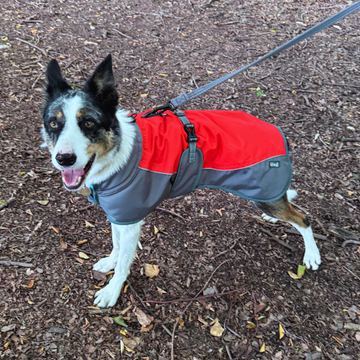 Waterproof Dog Coat