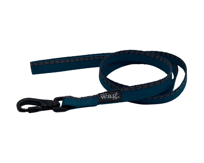 Standard Dog Lead – Comfortable, Reflective & Eco-Friendly