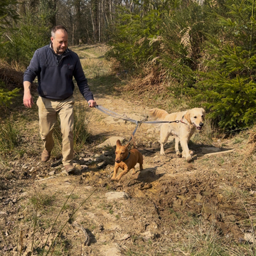 Dog Training Lead – Multi-Functional & Adjustable for Training and Walking
