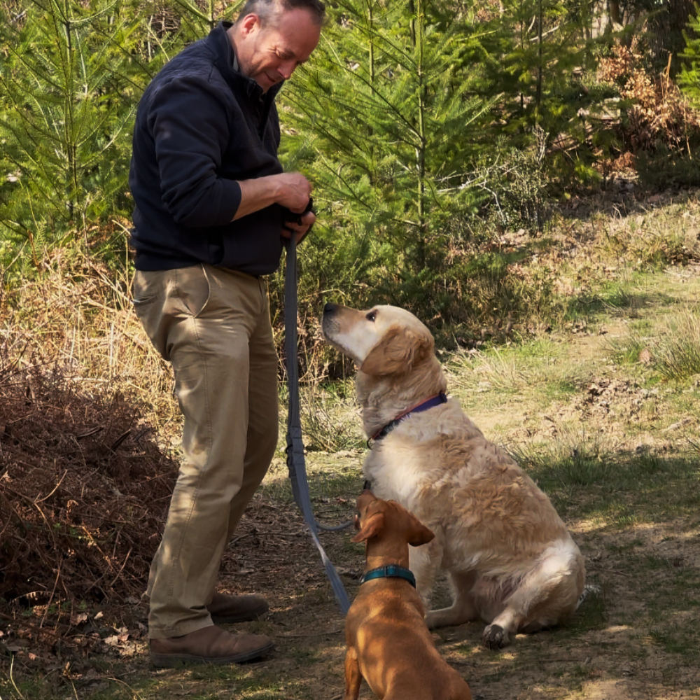 Dog Training Lead – Multi-Functional & Adjustable for Training and Walking